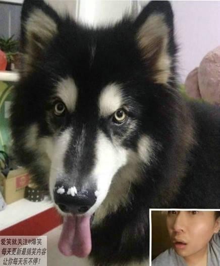 家里电脑没人qq小号突然上线是不是招贼赶紧开视频竟然是！把我惊呆了