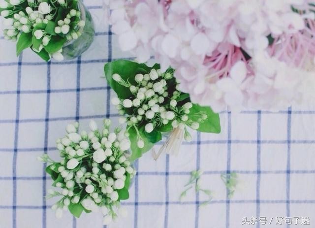 微信朋友圈最走心的爱情语录短句网络很流行很火!